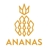 Ananas logo - creative training and learning platform showcased on the app page.